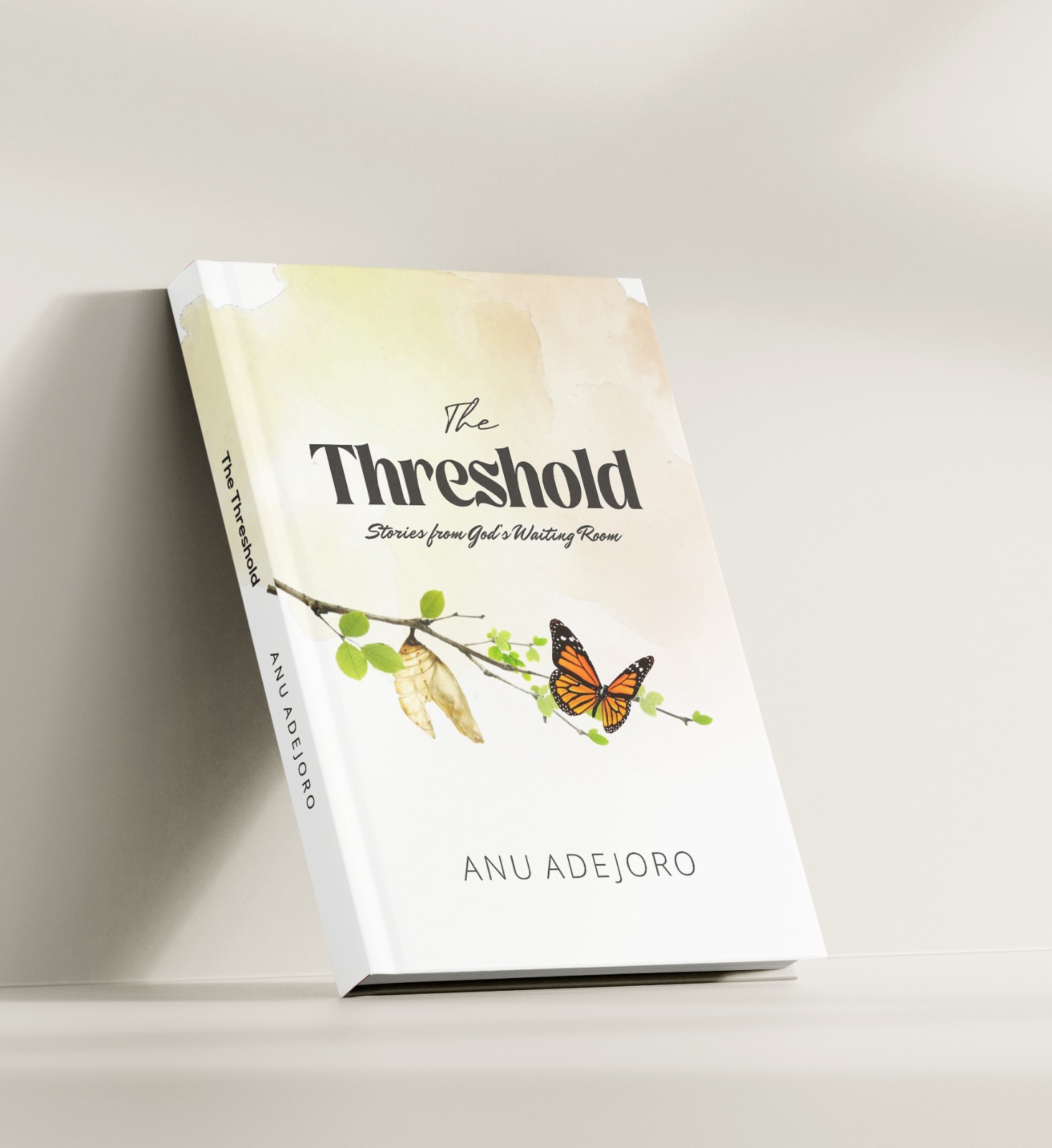 The Threshold book cover by Anu Adejoro